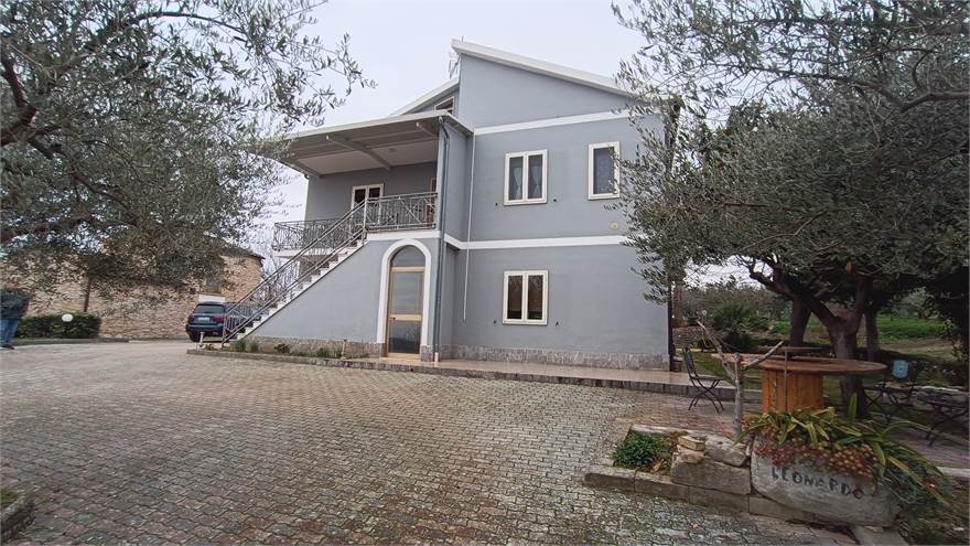 Photo 21